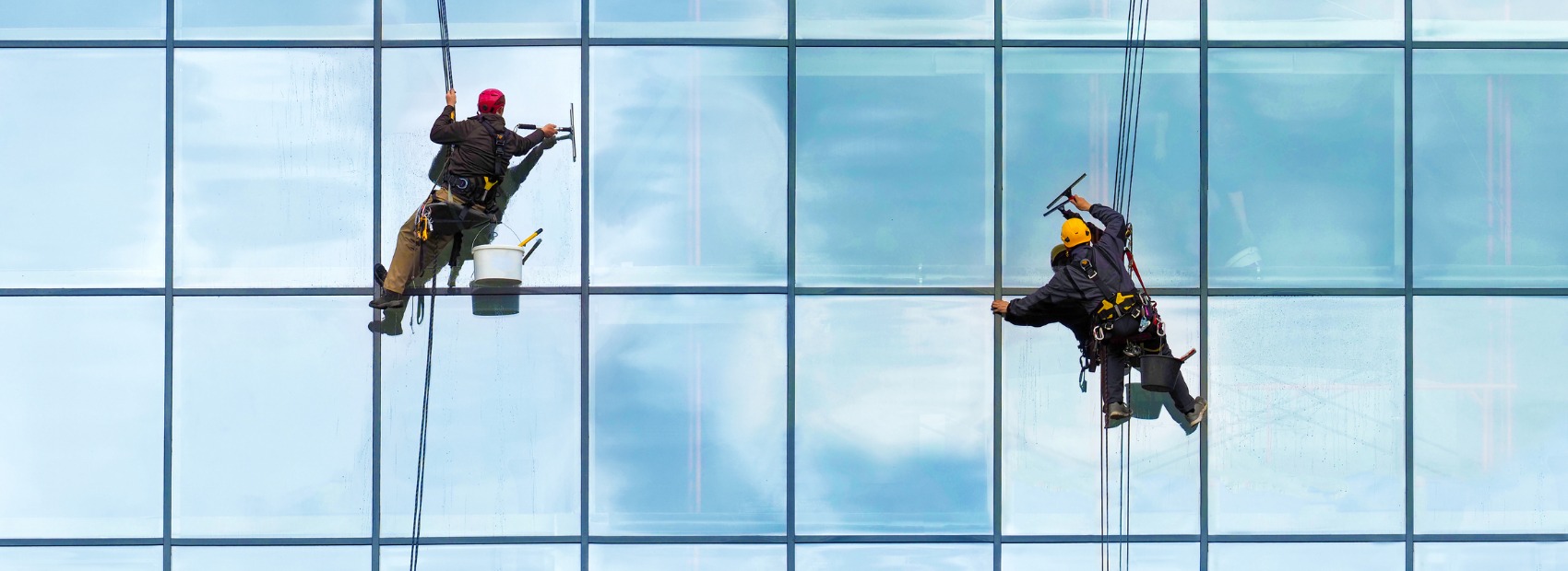 A team from All Window Cleaning Services cleans windows as part of their exterior cleaning services