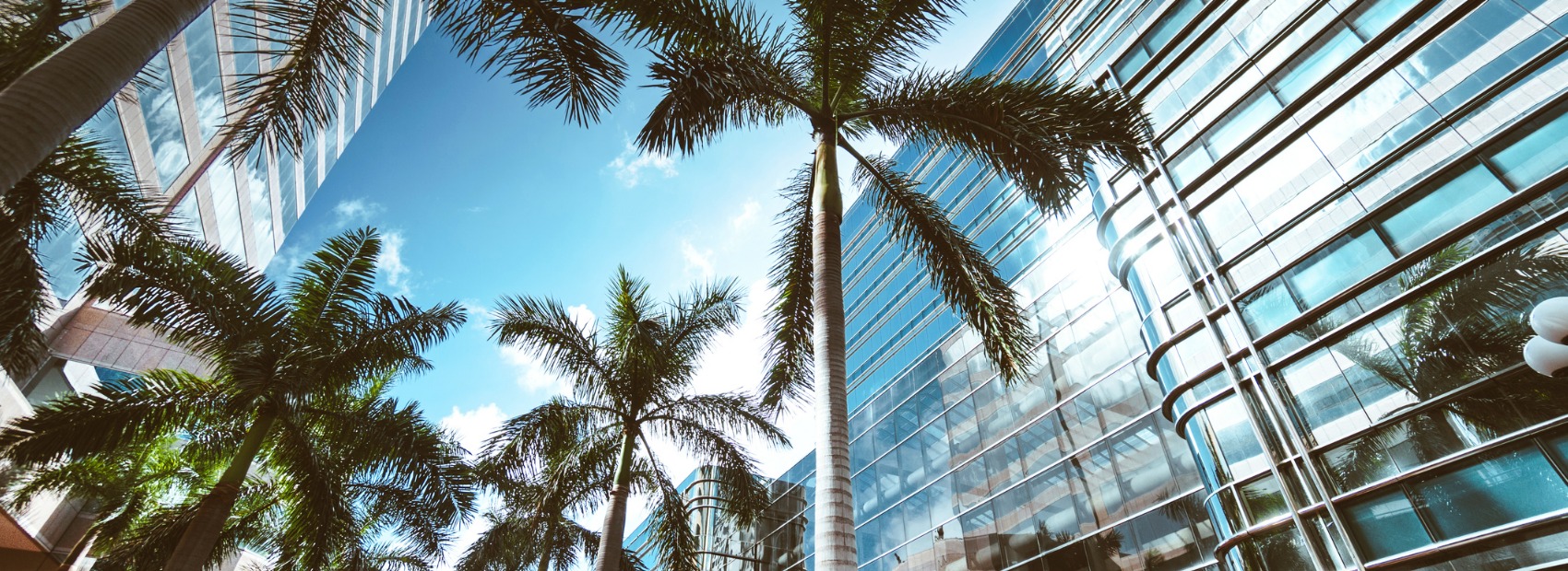Florida Window Cleaning